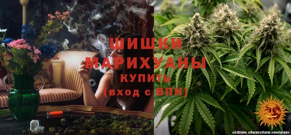 ешки Корсаков