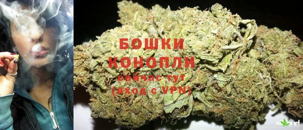 ешки Корсаков