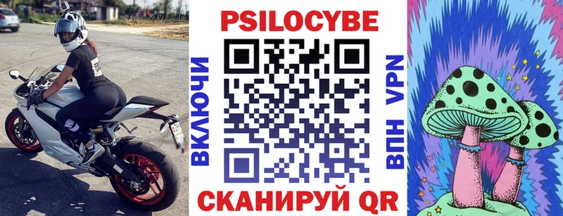 Купить  Протвино  Галлюциногенные грибы Psilocybine cubensis 