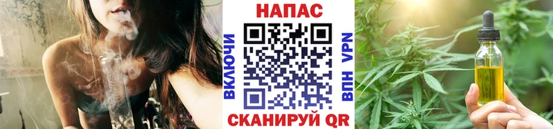 Купить  Протвино  Каннабис сатива 